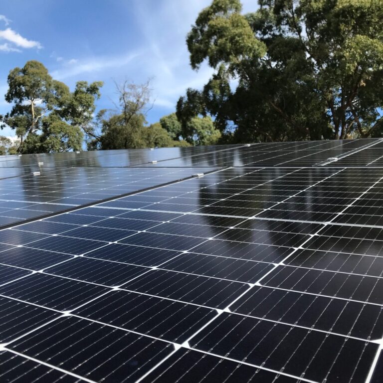 Close-up of monocrystalline solar panels against blue sky and gum trees